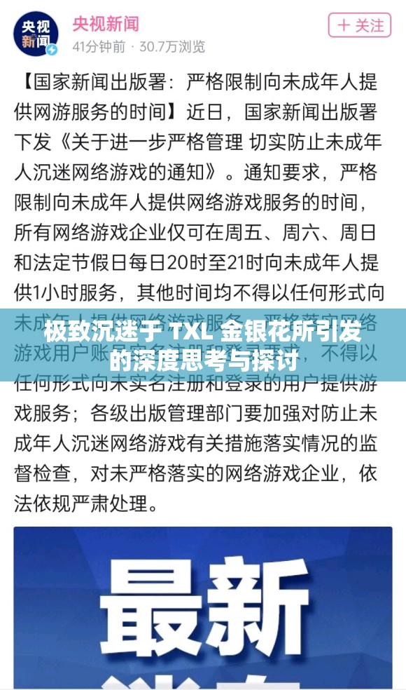 极致沉迷于 TXL 金银花所引发的深度思考与探讨