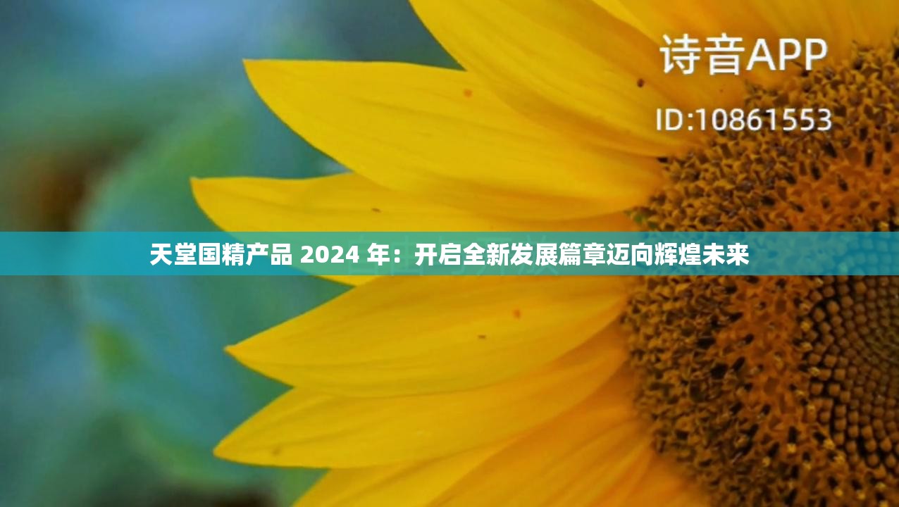 天堂国精产品 2024 年：开启全新发展篇章迈向辉煌未来