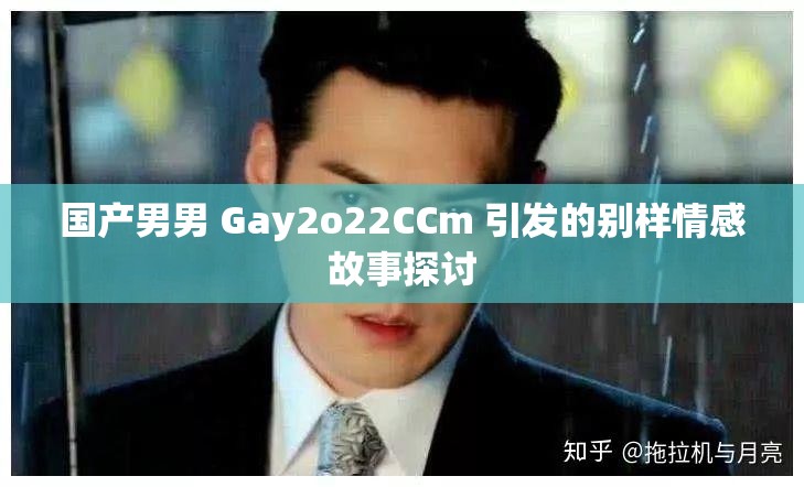 国产男男 Gay2o22CCm 引发的别样情感故事探讨