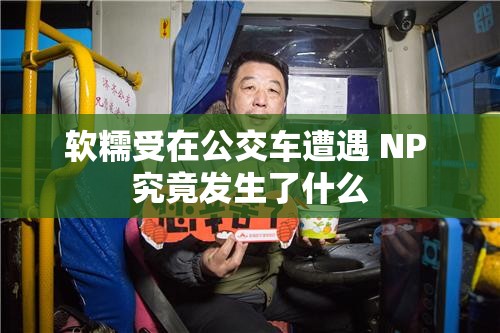 软糯受在公交车遭遇 NP 究竟发生了什么