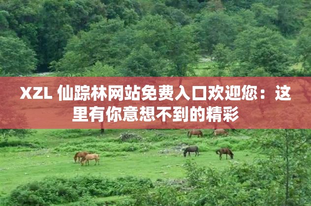 XZL 仙踪林网站免费入口欢迎您：这里有你意想不到的精彩