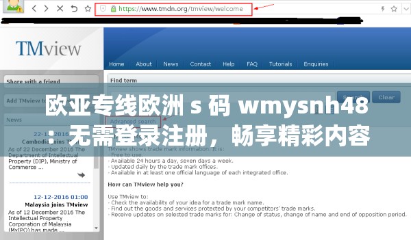 欧亚专线欧洲 s 码 wmysnh48：无需登录注册，畅享精彩内容