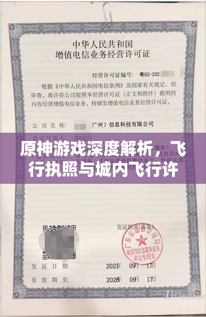 原神游戏深度解析，飞行执照与城内飞行许可证获取全攻略