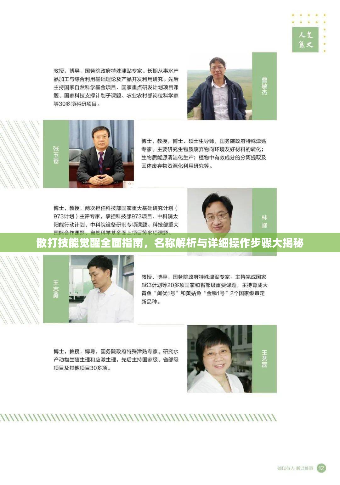 散打技能觉醒全面指南，名称解析与详细操作步骤大揭秘