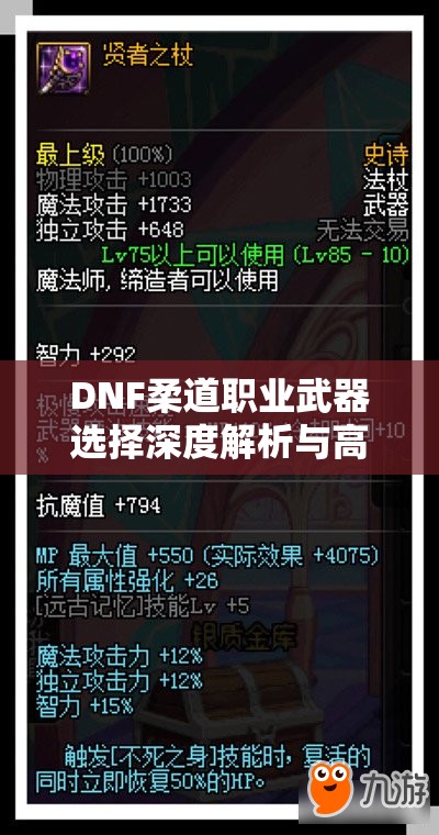 DNF柔道职业武器选择深度解析与高效装备管理策略