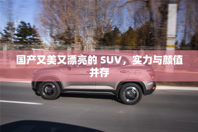 国产又美又漂亮的 SUV，实力与颜值并存