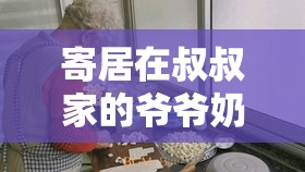 寄居在叔叔家的爷爷奶奶是否能养好呢