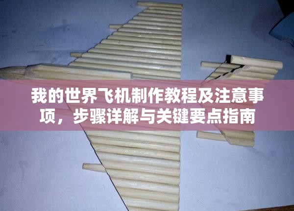 我的世界飞机制作教程及注意事项，步骤详解与关键要点指南