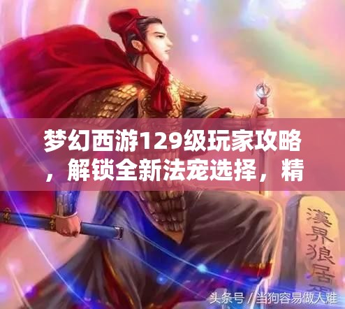 梦幻西游129级玩家攻略，解锁全新法宠选择，精心打造高效战斗阵容策略