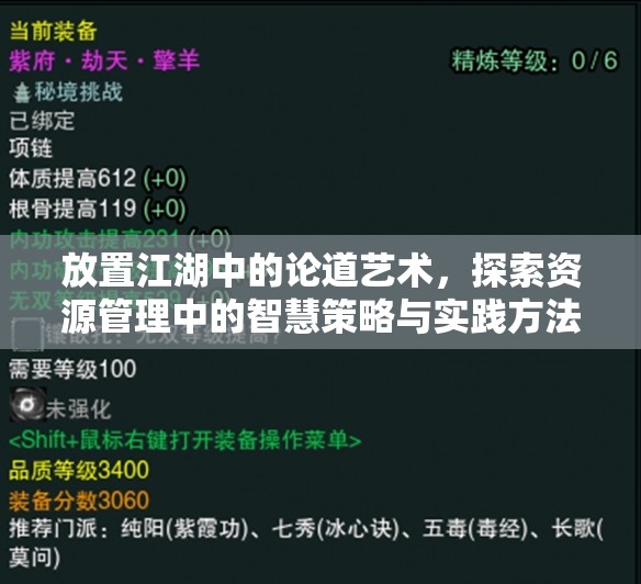 放置江湖中的论道艺术，探索资源管理中的智慧策略与实践方法