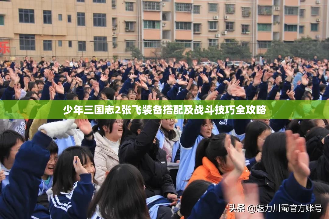 少年三国志2张飞装备搭配及战斗技巧全攻略