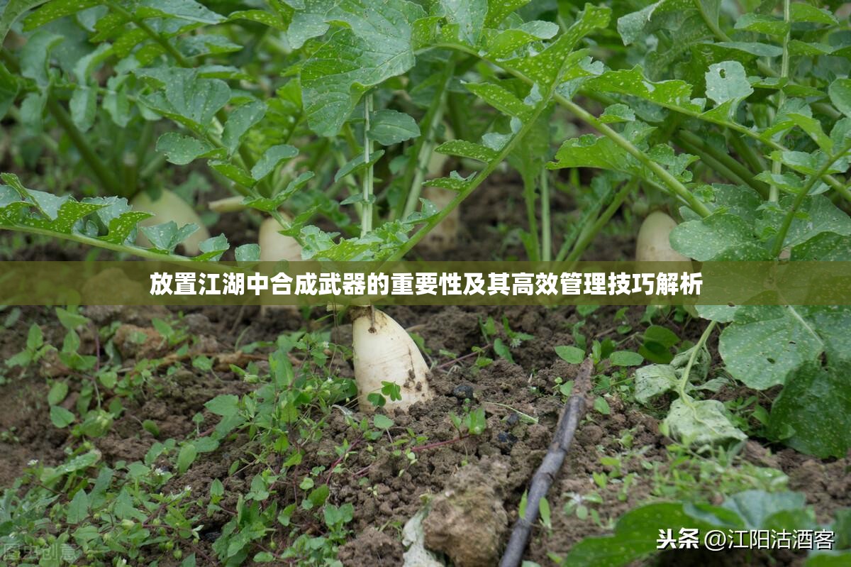 放置江湖中合成武器的重要性及其高效管理技巧解析