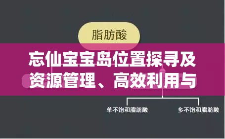 忘仙宝宝岛位置探寻及资源管理、高效利用与防浪费策略全解析