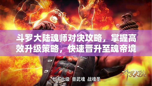 斗罗大陆魂师对决攻略，掌握高效升级策略，快速晋升至魂帝境界