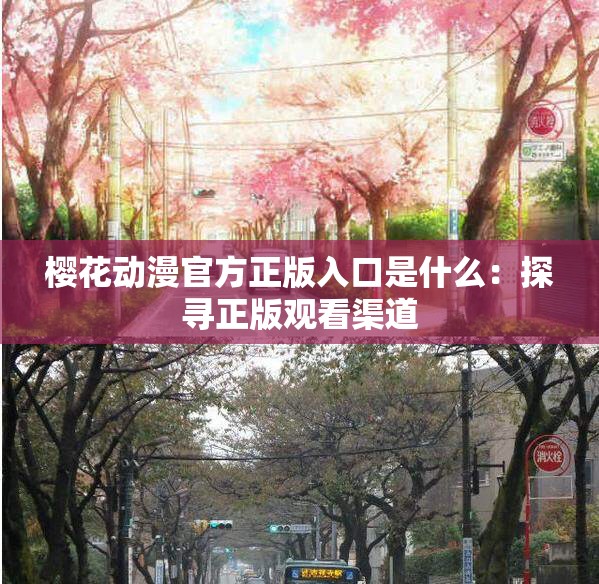 樱花动漫官方正版入口是什么：探寻正版观看渠道