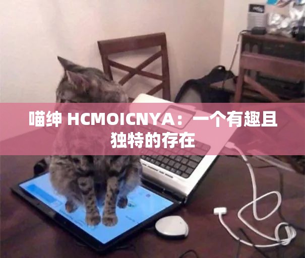 喵绅 HCMOICNYA：一个有趣且独特的存在