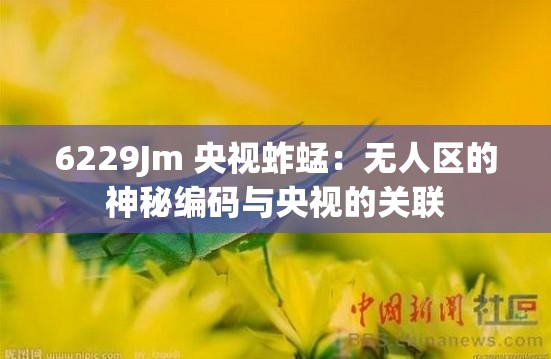 6229Jm 央视蚱蜢：无人区的神秘编码与央视的关联