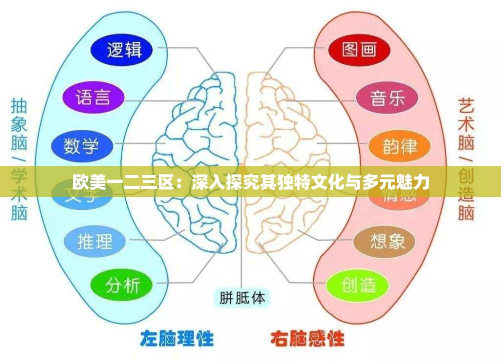 欧美一二三区：深入探究其独特文化与多元魅力