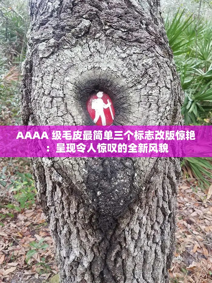 AAAA 级毛皮最简单三个标志改版惊艳：呈现令人惊叹的全新风貌