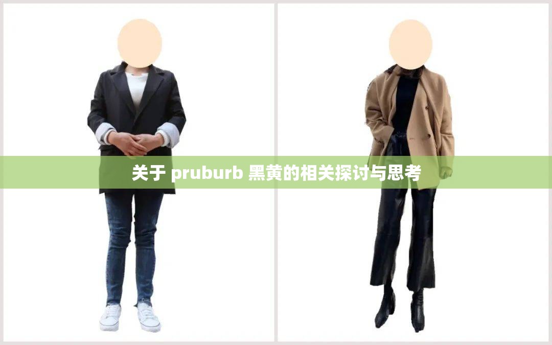 关于 pruburb 黑黄的相关探讨与思考