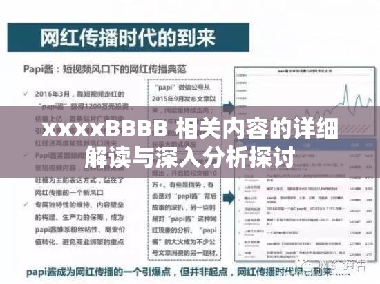 xxxxBBBB 相关内容的详细解读与深入分析探讨