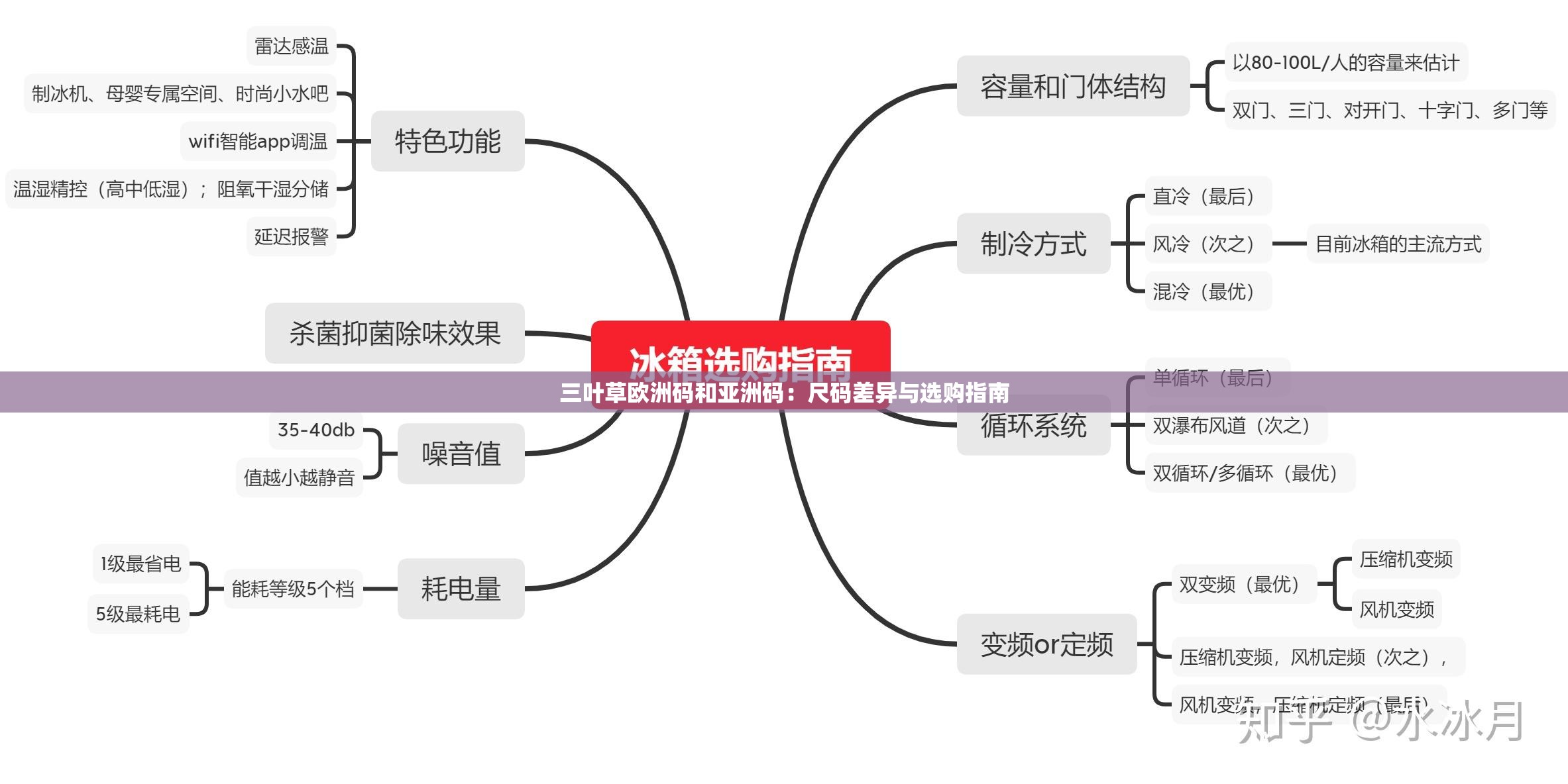 三叶草欧洲码和亚洲码：尺码差异与选购指南