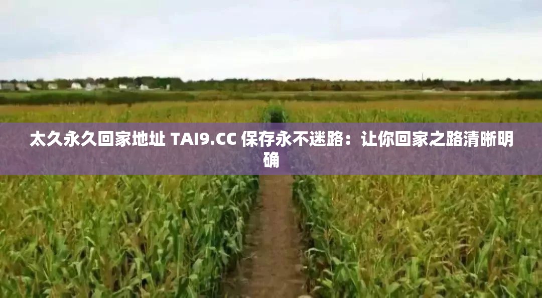 太久永久回家地址 TAI9.CC 保存永不迷路：让你回家之路清晰明确