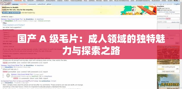 国产 A 级毛片：成人领域的独特魅力与探索之路