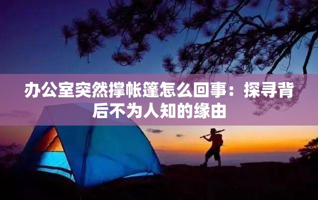 办公室突然撑帐篷怎么回事：探寻背后不为人知的缘由