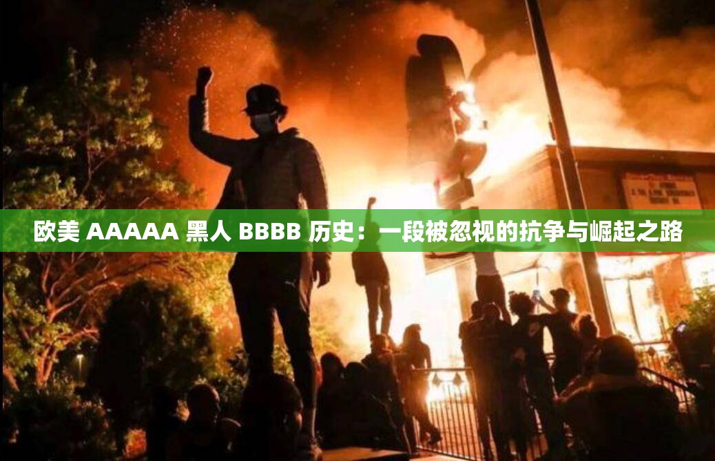 欧美 AAAAA 黑人 BBBB 历史：一段被忽视的抗争与崛起之路