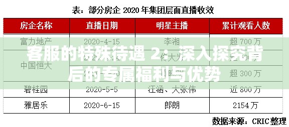 客服的特殊待遇 2：深入探究背后的专属福利与优势