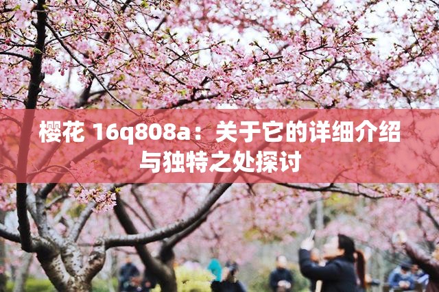 樱花 16q808a：关于它的详细介绍与独特之处探讨