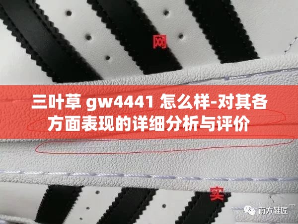 三叶草 gw4441 怎么样-对其各方面表现的详细分析与评价