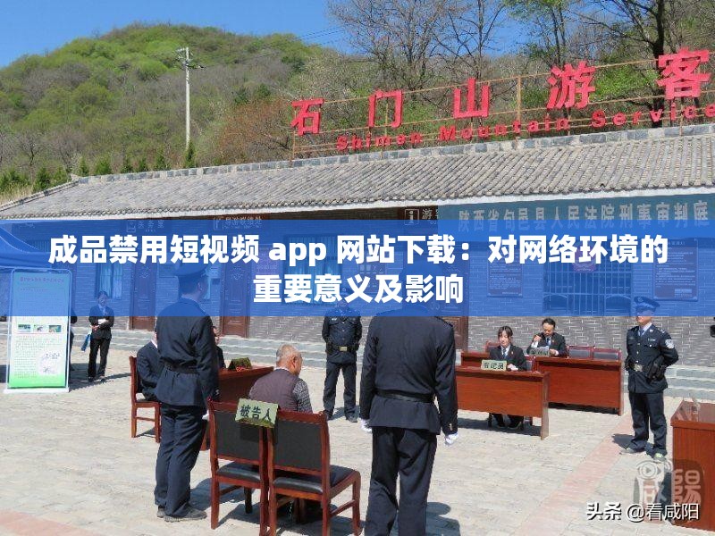 成品禁用短视频 app 网站下载：对网络环境的重要意义及影响