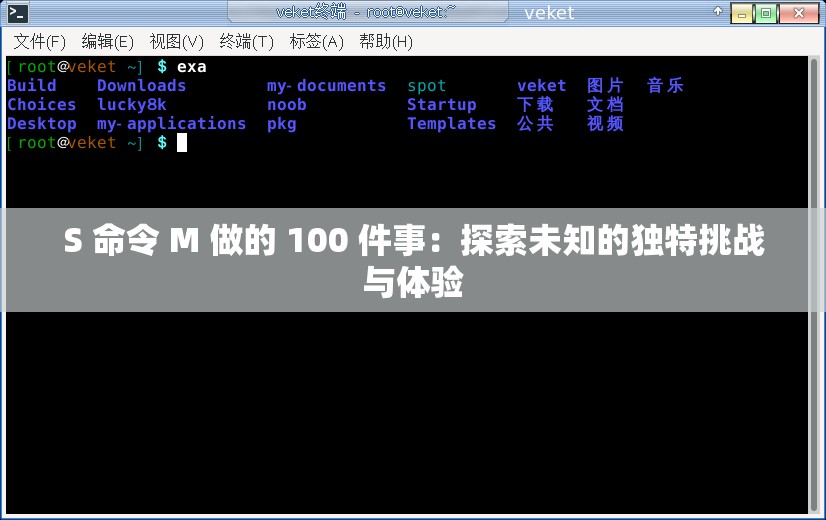 S 命令 M 做的 100 件事：探索未知的独特挑战与体验