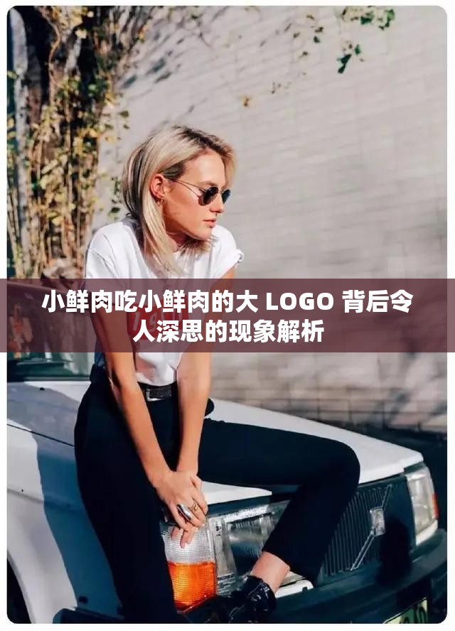 小鲜肉吃小鲜肉的大 LOGO 背后令人深思的现象解析