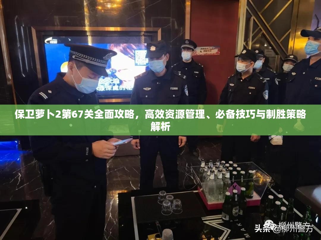 保卫萝卜2第67关全面攻略，高效资源管理、必备技巧与制胜策略解析