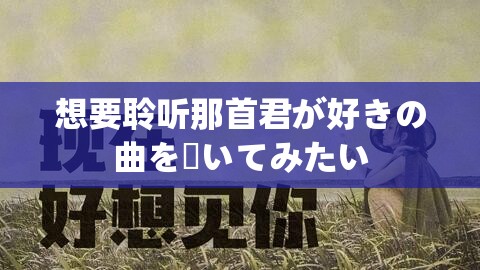 想要聆听那首君が好きの曲を聴いてみたい