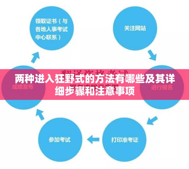 两种进入狂野式的方法有哪些及其详细步骤和注意事项