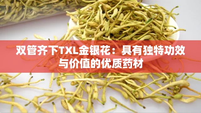 双管齐下TXL金银花：具有独特功效与价值的优质药材