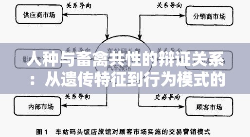 人种与畜禽共性的辩证关系：从遗传特征到行为模式的比较研究