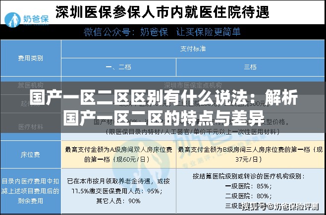 国产一区二区区别有什么说法：解析国产一区二区的特点与差异