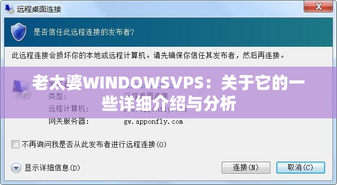 老太婆WINDOWSVPS：关于它的一些详细介绍与分析