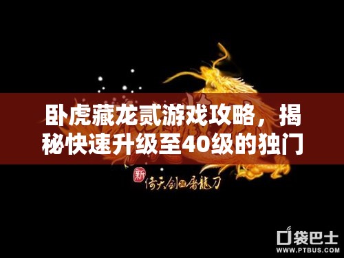 卧虎藏龙贰游戏攻略，揭秘快速升级至40级的独门秘籍与技巧