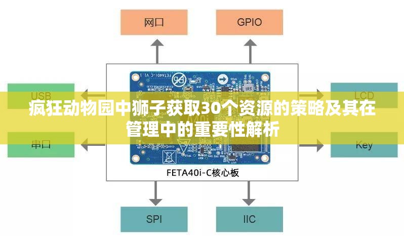 疯狂动物园中狮子获取30个资源的策略及其在管理中的重要性解析