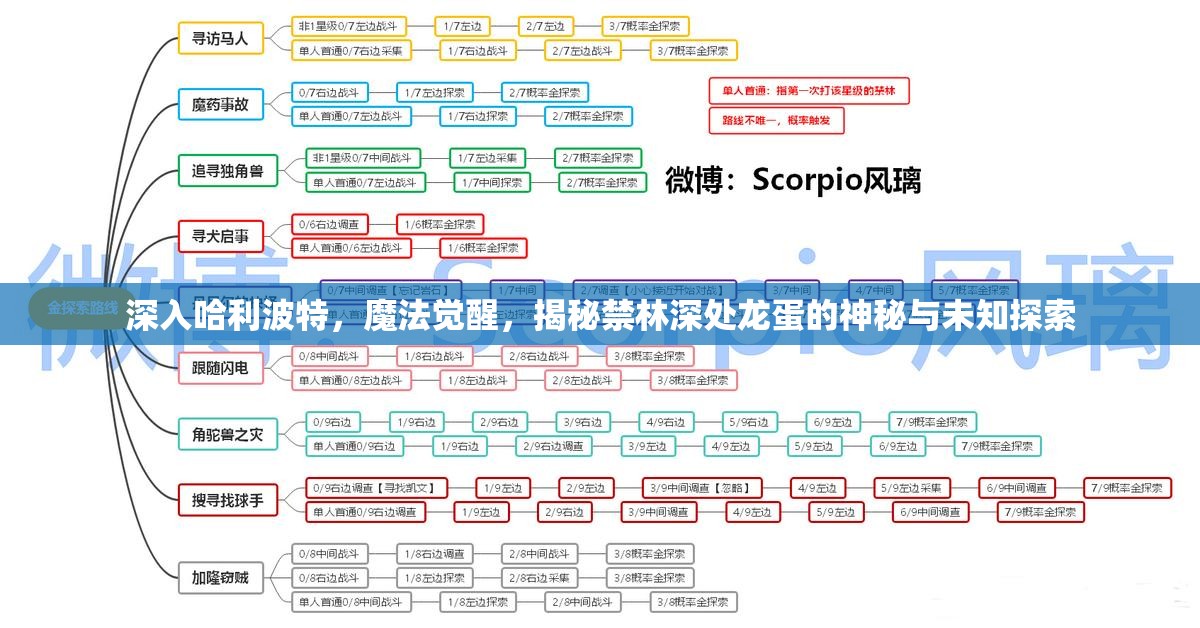 深入哈利波特，魔法觉醒，揭秘禁林深处龙蛋的神秘与未知探索