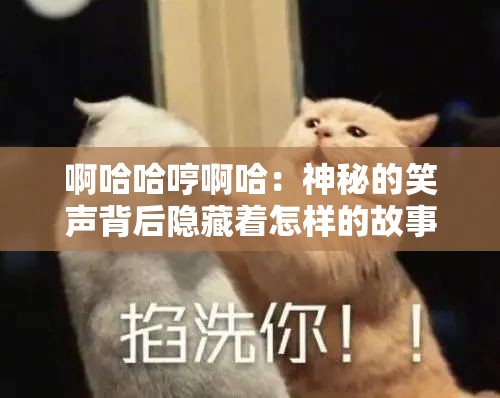 啊哈哈哼啊哈：神秘的笑声背后隐藏着怎样的故事