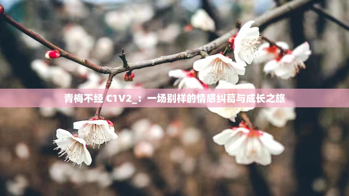 青梅不经 C1V2_：一场别样的情感纠葛与成长之旅