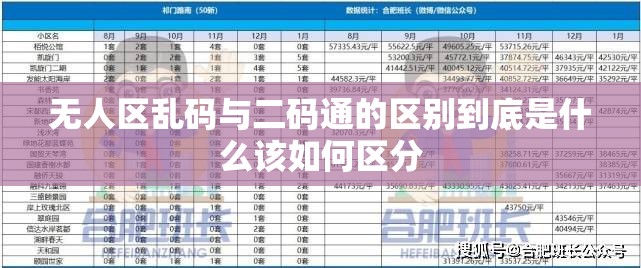 无人区乱码与二码通的区别到底是什么该如何区分