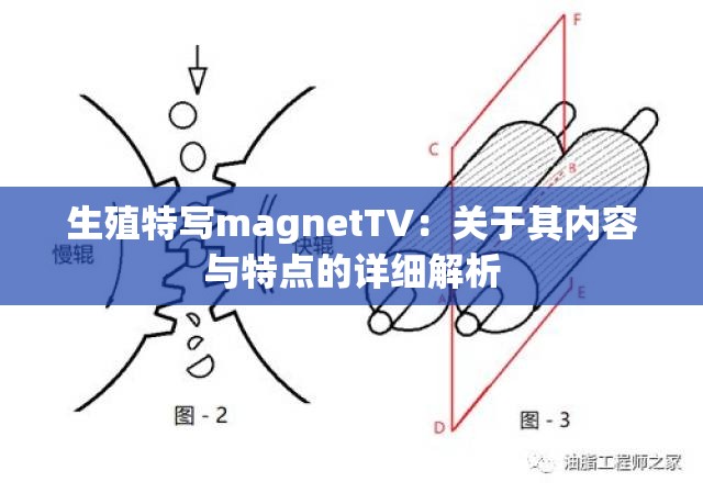 生殖特写magnetTV：关于其内容与特点的详细解析